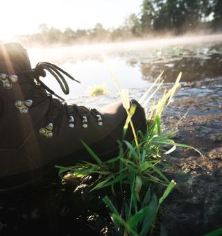 Enlarge image, modal window