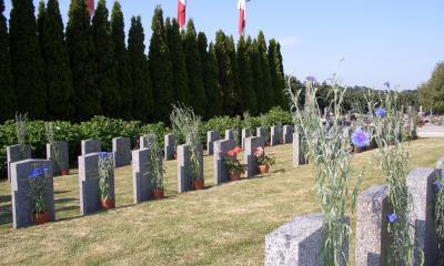 Enlarge image, modal window