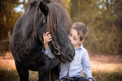 Enlarge image, modal window