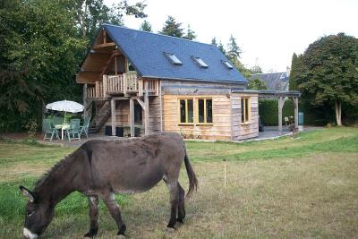 Enlarge image, modal window