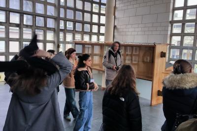 Enlarge image, modal window