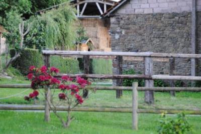 Enlarge image, modal window