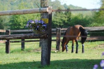 Enlarge image, modal window