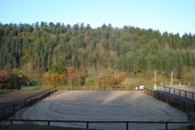 Enlarge image, modal window