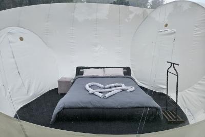 Enlarge image, modal window