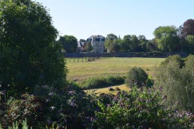 Enlarge image, modal window