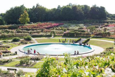 Enlarge image, modal window - Pauline Mehdi Photographie