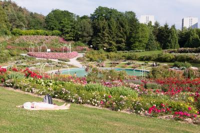 Enlarge image, modal window