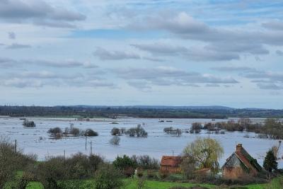 Enlarge image, modal window