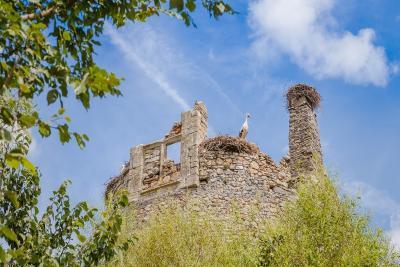 Enlarge image, modal window