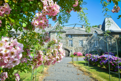 Enlarge image, modal window