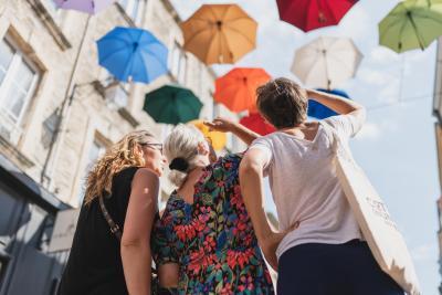 Enlarge image, modal window