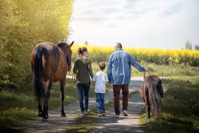 Enlarge image, modal window