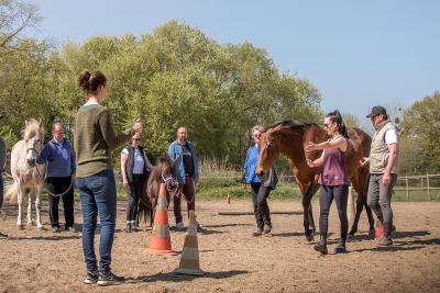 Enlarge image, modal window