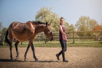 Enlarge image, modal window