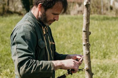 Enlarge image, modal window