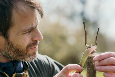 Enlarge image, modal window