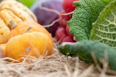 Enlarge image, modal window