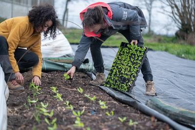 Enlarge image, modal window