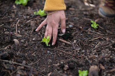 Enlarge image, modal window