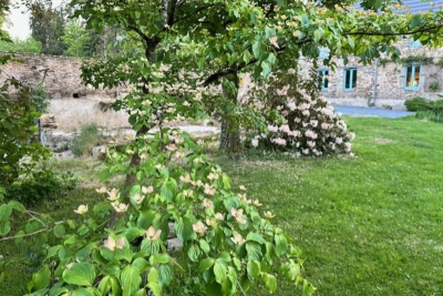 Enlarge image, modal window