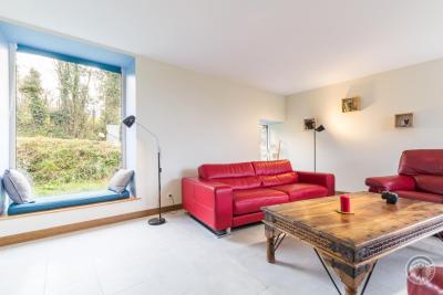 Enlarge image, modal window