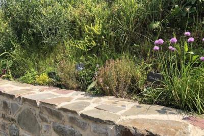 Enlarge image, modal window