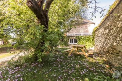 Enlarge image, modal window