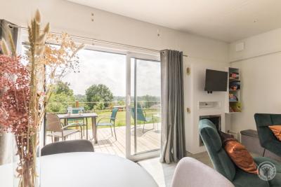 Enlarge image, modal window