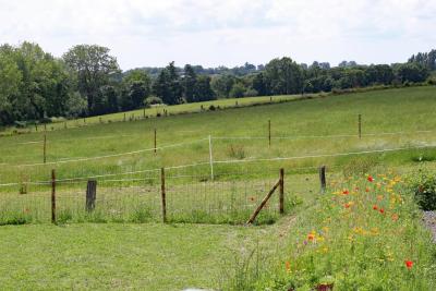 Enlarge image, modal window