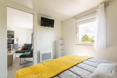 Enlarge image, modal window