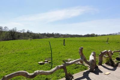 Enlarge image, modal window