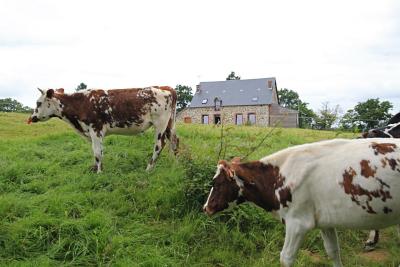 Enlarge image, modal window