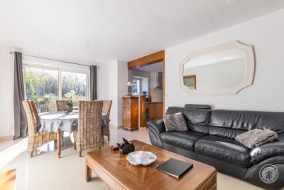 Enlarge image, modal window