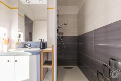 Enlarge image, modal window