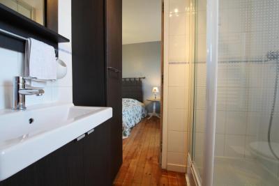 Enlarge image, modal window