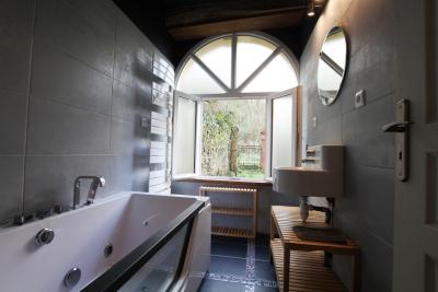 Enlarge image, modal window