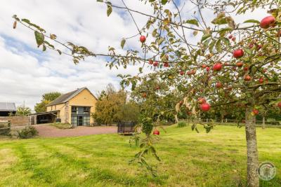 Enlarge image, modal window