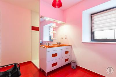 Enlarge image, modal window