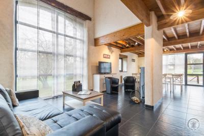 Enlarge image, modal window