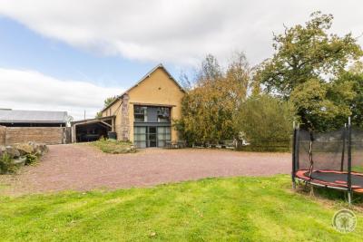 Enlarge image, modal window