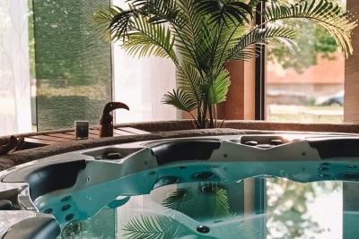 Enlarge image, modal window