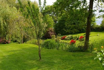 Enlarge image, modal window