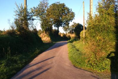 Enlarge image, modal window