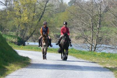 Enlarge image, modal window