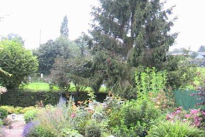 Enlarge image, modal window