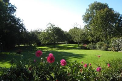 Enlarge image, modal window