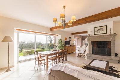 Enlarge image, modal window