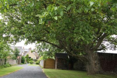 Enlarge image, modal window