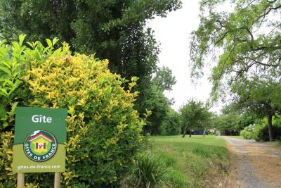 Enlarge image, modal window